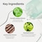 numbuzin No1 PureFull Calming Herb Toner  Breakouts Redness Excess Oil Control Blackhead Removal  Centella Asiatica Heartleaf Licorice Root  AcneProne Sensitive Skin  1014 fl oz