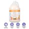 Ginger Lily Farms Botanicals AllPurpose Liquid Hand Soap Refill Coco Mango 100 Vegan  CrueltyFree Coconut Mango Scent 1 Gallon 128 fl oz