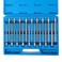 Neiko 10079A Extra Long Allen Hex Bit Socket Set 18 Piece SAE and Metric Allen Socket Set 38 Drive 18  38 Inch  3mm  10mm 6 Long Allen Hex Socket Bit Set Allen Head Hex Key Socket Set