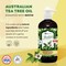 Vita A to Zee Tea Tree Oil Shampoo with Biotin 169 Fl Oz  Professional Formula for Dandruff Itchy and Dry Scalp  Moisturizing Damaged Hair  Anti Hair Loss with DHT Blockers for Men and Women