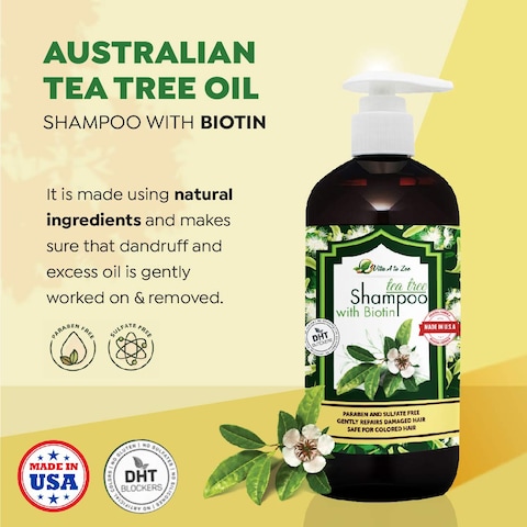 Vita A to Zee Tea Tree Oil Shampoo with Biotin 169 Fl Oz  Professional Formula for Dandruff Itchy and Dry Scalp  Moisturizing Damaged Hair  Anti Hair Loss with DHT Blockers for Men and Women