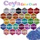 Ceya Holographic Chunky Glitter 49oz 140g Black Craft Glitter Powder Mixed Chunky Fine Flakes Iridescent Nail Sequins for Nail Art Hair Epoxy Resin Tumblers Slime Painting Festival Decor