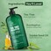 Botanic Hearth Eucalyptus  Tea Tree Body Wash  16 fl oz  Helps Soothe Skin Refreshing and Invigorating Cleansing Shower Gel for Men and Women  Sulfate Free Paraben Free