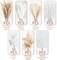 96PCS Natural Dried Pampas Grass Boho Home Decor Bouquet Phragmites Dried Flowers Bouquet for Wedding Floral Arrangements Home Decorations 96PCS
