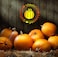 6 PCS Large Fall Stencils 12 Inch Thanksgiving Stencil for Painting on Wood Reusable Pumpkin Hello Fall Stencils for DIY Wood Signs Farmhouse Home Decor