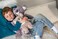 Mary Meyer Putty Stuffed Animal Soft Toy 17Inches Grey Koala