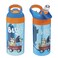 Zak Designs 175 oz Riverside Bluey Kids Water Bottle with Straw and Built in Carrying Loop Made of Durable Plastic LeakProof Design for Travel 2PK Set