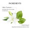 Peripera Ink Mood Glowy Tint LipPlumping Naturally Moisturizing Lightweight GlowBoosting LongLasting Comfortable NonSticky Mask Friendly No White Film 03 ROSE IN MIND