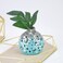 Sculpey Premo Turquoise Granite