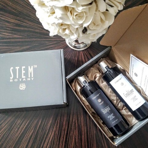 Stem Cell Shampoo for Thinning Hair  Hair Loss Shampoo for women Super Glossy Ultimate ColorSafe Natural DHT Blocker Shampoo with Caffeine Peptides Stem Cells for Hair