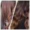Stem Cell Shampoo for Thinning Hair  Hair Loss Shampoo for women Super Glossy Ultimate ColorSafe Natural DHT Blocker Shampoo with Caffeine Peptides Stem Cells for Hair