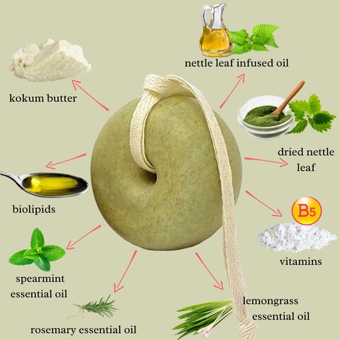 EARTH IS Shampoo Bar  All Hair Types  Mild Natural Shampoo  EcoFriendly  Plastic Free  PHBalanced  Vegan  Sulfate Free  Biodegradable  Zero Waste 37 oz Herbal with Nettle Leaf
