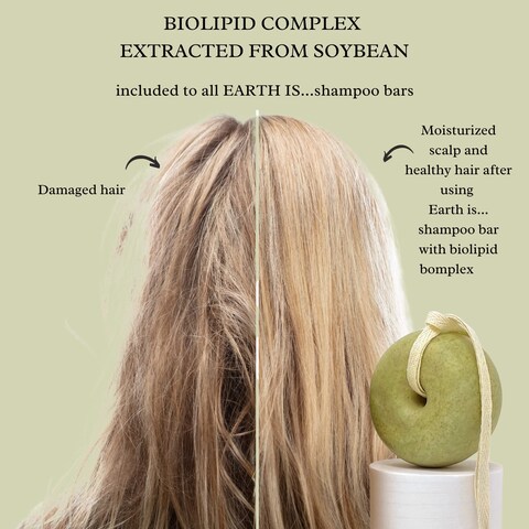 EARTH IS Shampoo Bar  All Hair Types  Mild Natural Shampoo  EcoFriendly  Plastic Free  PHBalanced  Vegan  Sulfate Free  Biodegradable  Zero Waste 37 oz Herbal with Nettle Leaf