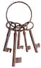 Fallen Fruits DB53 Cast Iron Small Keys