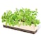 GREANER Window Boxes 1 Pack 16 x38 Inch Indoor Rectangle Planter Herb Succulent Cactus Window Box with Saucer Modern Plastic Plant Pot for Windowsill Garden Balcony Home Office Outdoor Decor