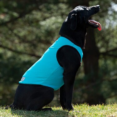 Terrain DOG Cooling Vest  Cooling Fabric Powered by Coolcore Technology Turquoise Medium 370055031