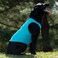 Terrain DOG Cooling Vest  Cooling Fabric Powered by Coolcore Technology Turquoise Medium 370055031