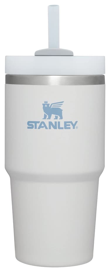 Stanley Quencher H20 FlowState Stainless Steel Vacuum Insulated Tumbler with Lid and Straw for Water Iced Tea or Coffee Smoothie and More Fog 20 oz