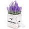 Countree Rustic Hidden Wood Facial Tissue Box Cover Holder Plant with SlideOut Bottom Panel  Looks Like an Artificial Flower Potted Lavender for Farmhouse Home Decor Grey
