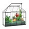 YIMORENCE V Large Glass Terrarium House Planter  Succulent Plant Glass Greenhouse with lid 98X79X59 NA