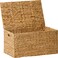 SOL HOME Joseph Rectangular Curve Resin Woven Wicker Trunk with Handles  24 x 14 x 15  Chocolate Brown  For Clothes Towels Toys Magazine Storage and Decoration