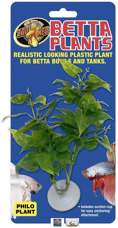 Zoo Med Laboratories AZMBP20 Betta Plant Philo