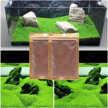 MISUHALOU 2 Pack Aquarium Plant Seeds for Fish Tank 035 oz Small Leaf