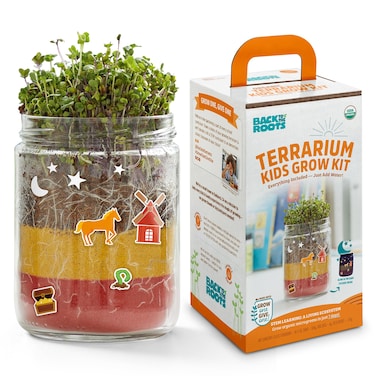 Back to the Roots STEM Certified Kids Terrarium Grow Kit  EasytoUse DIY Set for All Ages Small
