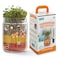 Back to the Roots STEM Certified Kids Terrarium Grow Kit  EasytoUse DIY Set for All Ages Small
