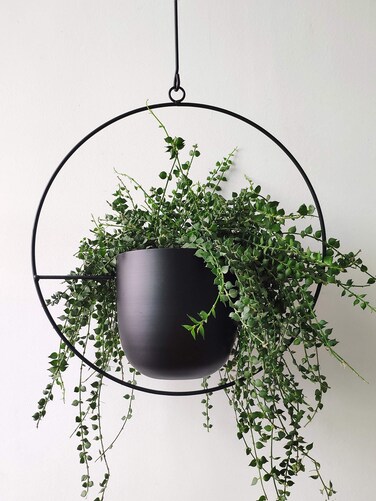 RISEON Boho Black Metal Plant HangerMetal Wall and Ceiling Hanging Planter Modern Planter Mid Century Flower Pot Plant Holder Minimalist Planter for Indoor Outdoor Home Decor