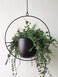 RISEON Boho Black Metal Plant HangerMetal Wall and Ceiling Hanging Planter Modern Planter Mid Century Flower Pot Plant Holder Minimalist Planter for Indoor Outdoor Home Decor