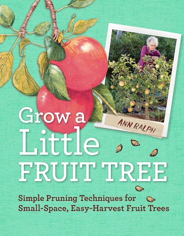 Grow a Little Fruit Tree Simple Pruning Techniques for SmallSpace EasyHa