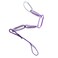 Metolius Alpine PAS Sling