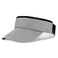 Supervisor Sun Visor