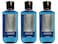 Bath  Body Works Lot of 3 and Ocean Signature Collection 2 in 1 Hair Shampoo Wash for Men 10 Fl Oz
