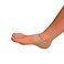 Brownmed Plantar Fasciitis Therapy Heel Hugger Plantar Fasciitis Arch Support Magnet Therapy Relieve Plantar Fasciitis Heel Pain Heel Spur Plantar Fasciitis Medium