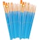 BOSOBO Paint Brushes Set 2 Pack 20 Pcs RoundPointed Tip Paintbrushes Nylon Hair Artist Acrylic Paint Brushes for Acrylic Oil Watercolor Face Nail Art Miniature Detailing Rock Painting Blue