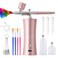 SHPTDJTIC Airbrush Kit with Compressor Air Brush for Nails 03Mm Nozzle Oxygen Injector Cordless Airbrush Gun for Skin Hydration Nail Art Tattoo Painting Makeup Cake Barber37vpink