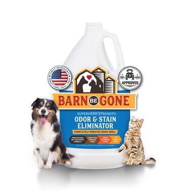 BARN BE GONE Superhero Strength Stain  Pet Odor Eliminator  Enzyme Carpet Cleaner Spray for Pets  Pet Stain Remover for Dog and Cat Urine Destroyer  Small Pet and Puppy Supplies  Pee Deodorizer