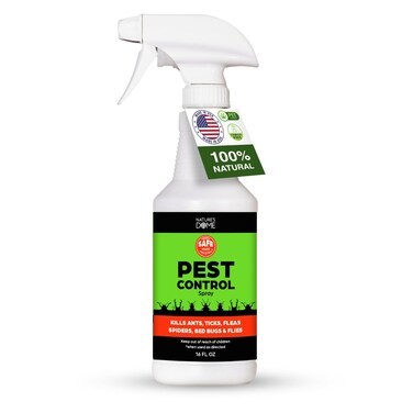 Natures Dome EcoFriendly Pest Control Spray  16 oz  Ant Roach Spider Fly Flea and Insect Control with Natural Essential Oils  FastActing Child  Pet Safe for Indoor  Outdoor Use