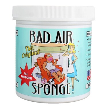 Bad Air Sponge Air Odor Absorbent 14 ounce 2Pack