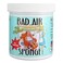 Bad Air Sponge Air Odor Absorbent 14 ounce 2Pack