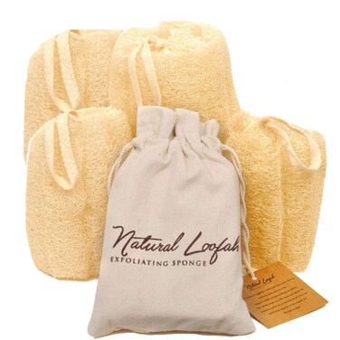 CraftsOfEgypt All Natural Loofah Sponge Pack of 4 Real Egyptian Bath  Shower Exfoliating Loofa Scrubber Sponges for Face Back  Body Eco Friendly No Toxic Chemicals 6 x 6 by Crafts of Egypt