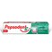 Pepsodent G Expert Protection Gum Care   140gm Pack of 2