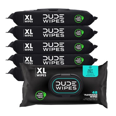 DUDE Wipes  Flushable Wipes  6 Pack 288 Wipes  Mint Chill ExtraLarge Adult Wet Wipes  VitaminE Aloe Eucalyptus  Tea Tree Oils  Septic and Sewer Safe