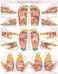 ReflexologyLaminated