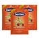 DenTek Kids Fun FlossersRemoves Food  Plaque 75 Count Pack of 3
