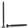 Qualihome  Coarse Thread Sharp Point Drywall Screw with Phillips Drive 2 Bugle Head 1 LbPound Black Ideal Screw For Drywall Sheetrock Wood and More 212 Inch black QHDS