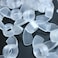 Caterpillar Red Pack of 20 Transparent Clear Plastic Acrylic M8 Butterfly Wing NutsAcrylic Plastic Screws 516