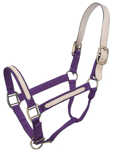 Tough 1 BreakAway Halter